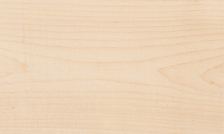 Species Hard Maple - Solid & laminated hardwood squares product - Champeau The Harwood Company