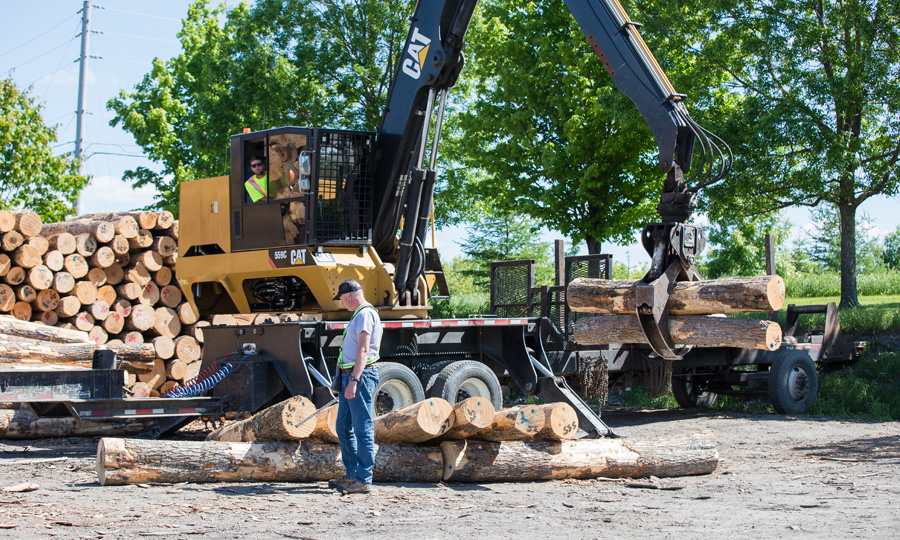 Log procurement - Champeau The Harwood Company