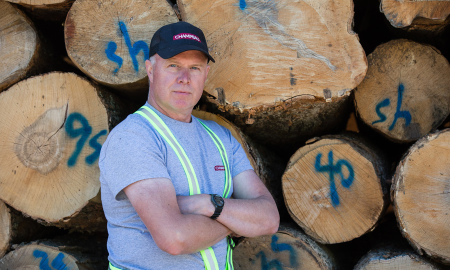 Log procurement - Champeau The Harwood Company